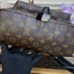 Louis Vuitton Palm Springs MM M44874 Brown